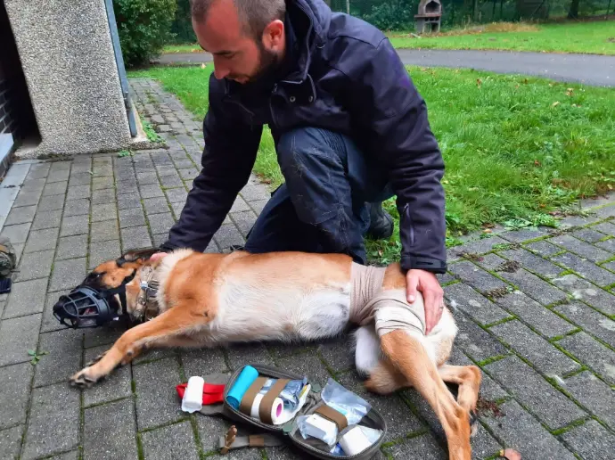 Image formation TECC K9